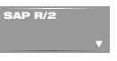 SAP R/2